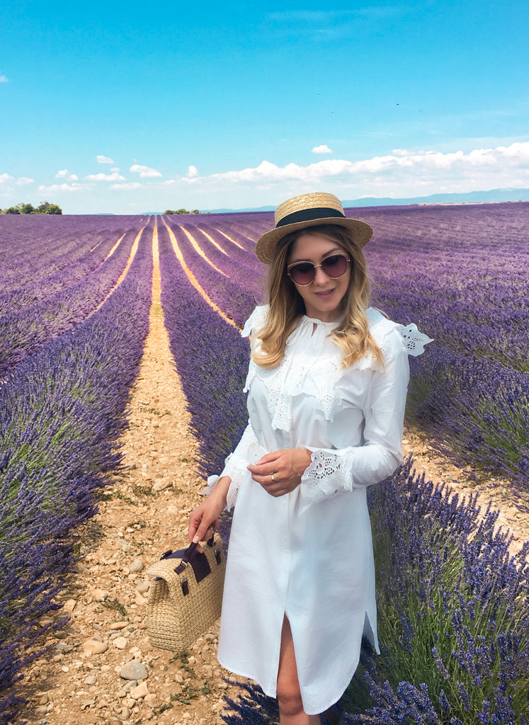 Lavender fields