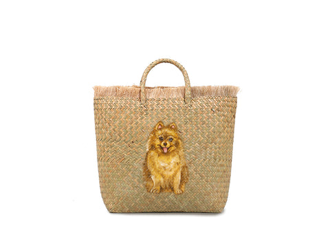 Beach Bag with lining (Paint)