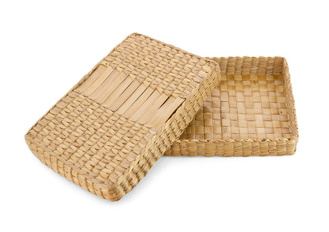 Long Container with cover
